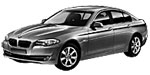BMW F10 P187C Fault Code